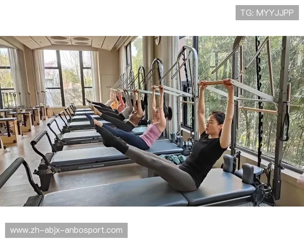 哪些健身器材适合用于训练肩部力量与柔韧性 哪些健身器材适合用于训练肩部力量与柔韧性